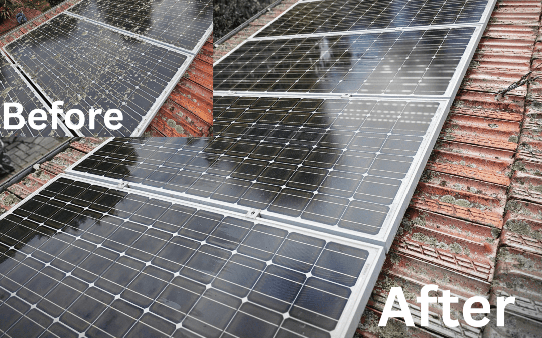 Carlingford Solar Clean Revival
