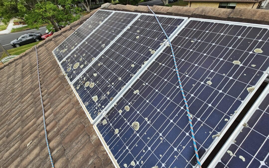 Don’t Let This Happen to Your Solar.