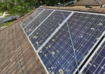 Don’t Let This Happen to Your Solar.