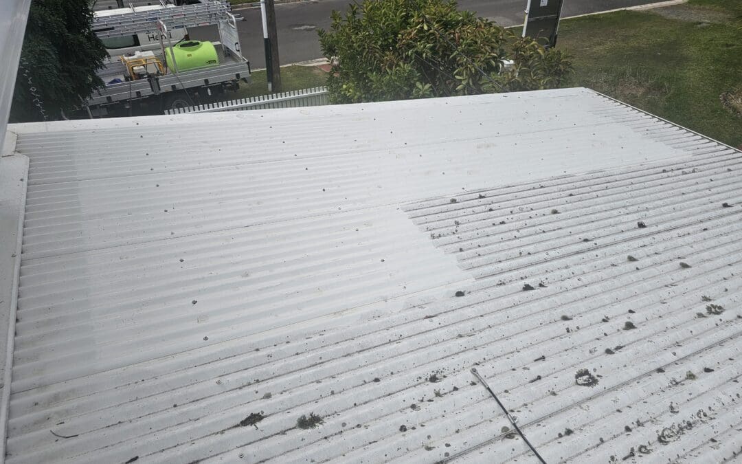 Caringbah Roof Pressure Clean