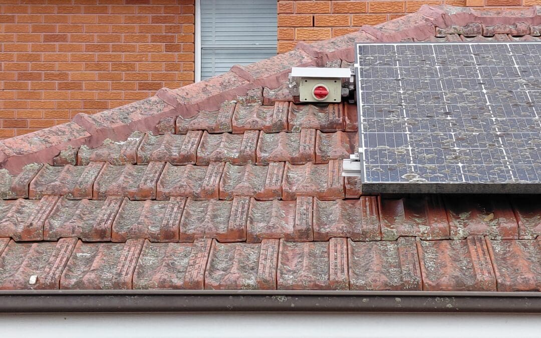 Why Early Roof Treatment Matters – Part 2 – Earlwood